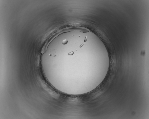 X0000112480454200909071201