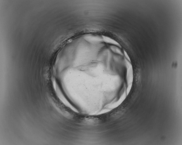 X0000112480455200909071201