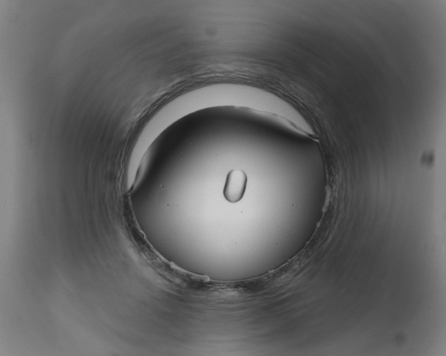 X0000112480456200909071202