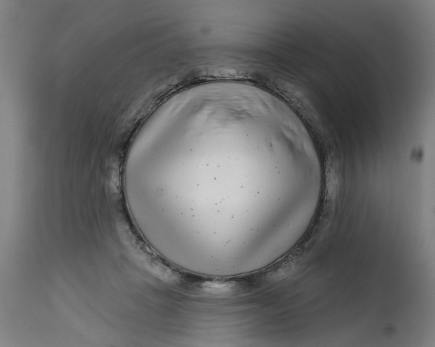 X0000112480457200909071202