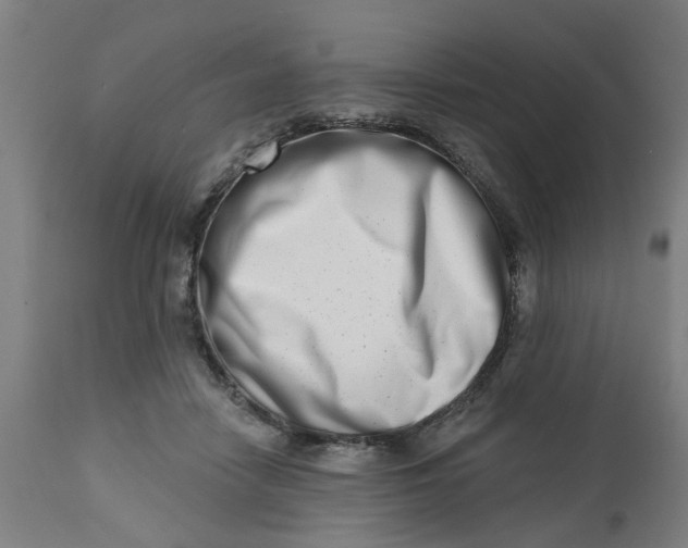 X0000112480458200909071202