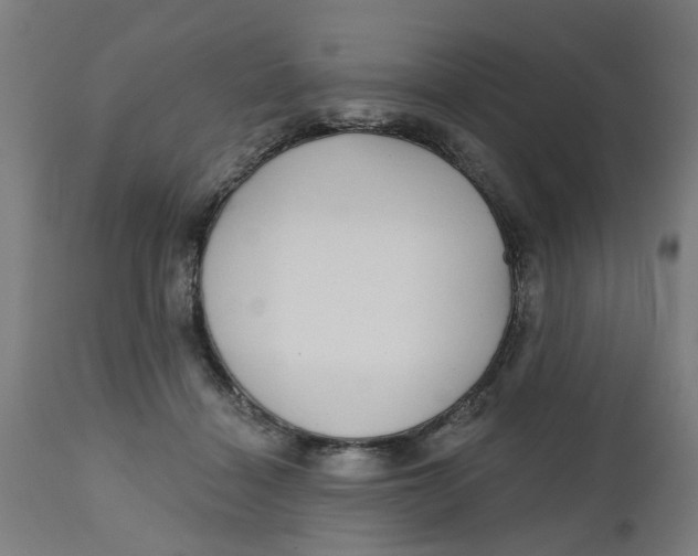 X0000112480460200909071202