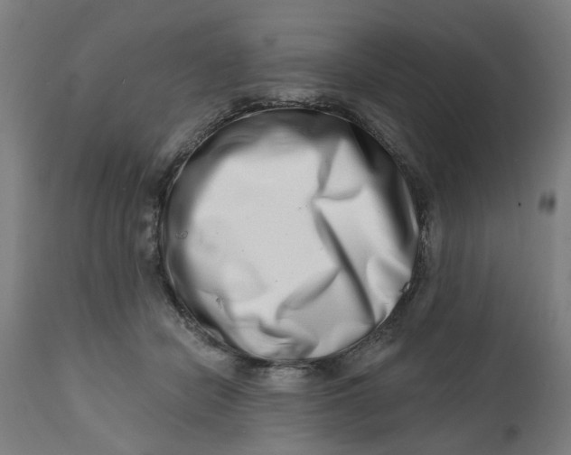 X0000112480462200909071202