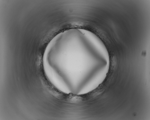 X0000112480463200909071202