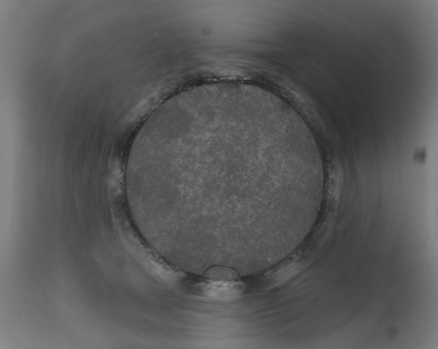 X0000112480465200909071202