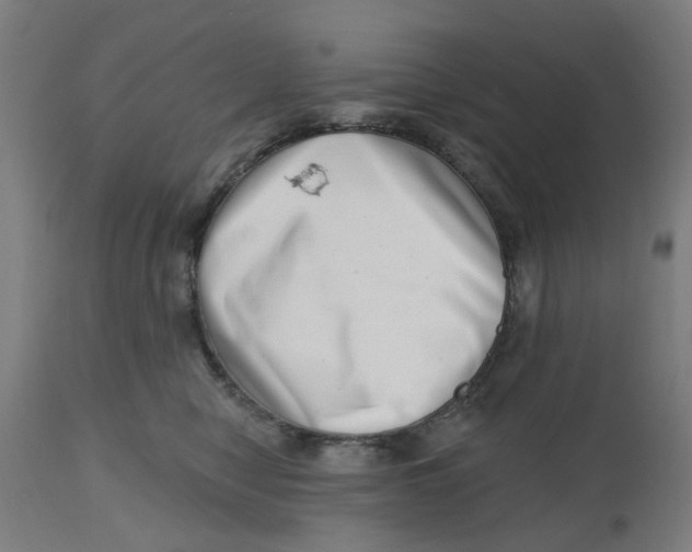 X0000112480470200909071202