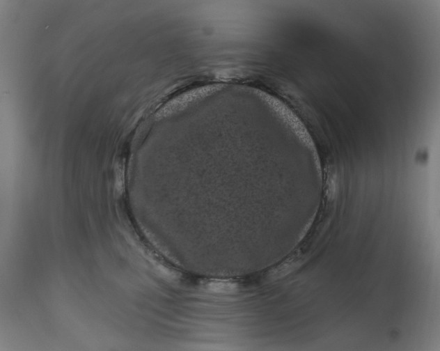 X0000112480471200909071202