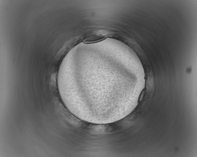 X0000112480473200909071202