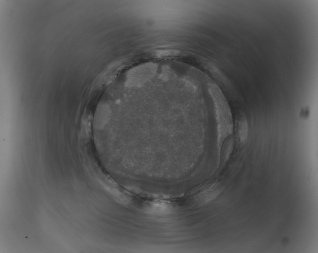 X0000112480475200909071202