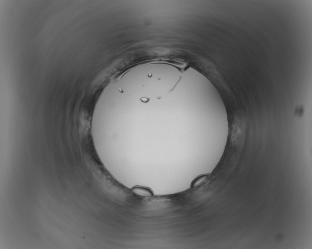 X0000112480476200909071202