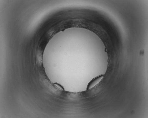 X0000112480479200909071202