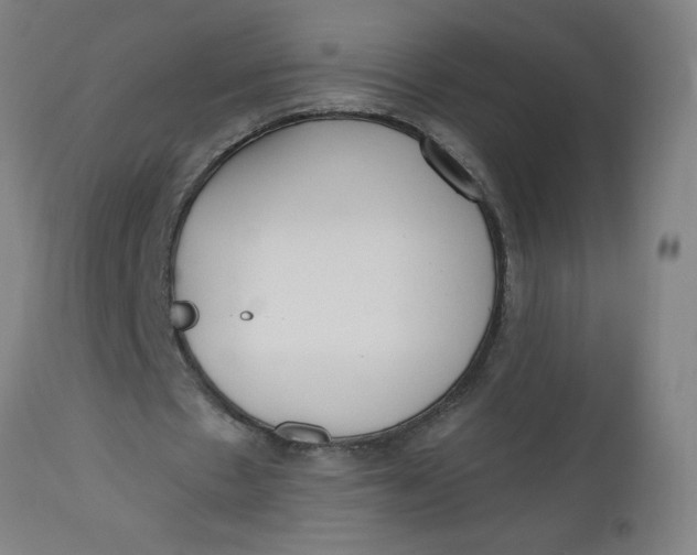 X0000112480481200909071201