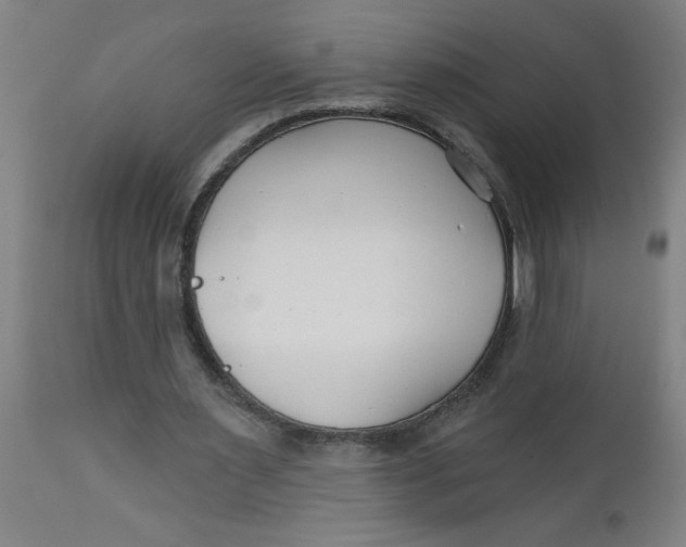 X0000112480483200909071201