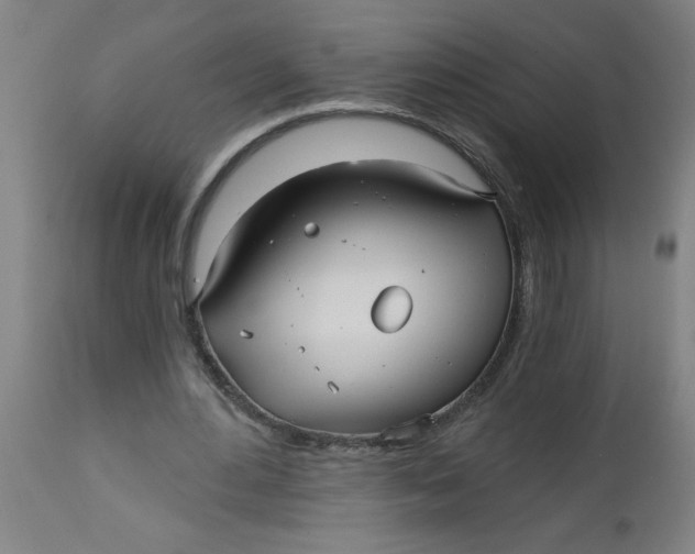 X0000112480484200909071201