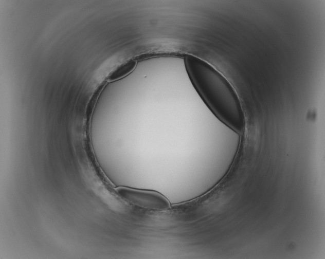 X0000112480485200909071201