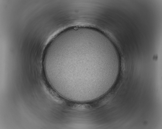 X0000112480488200909071201