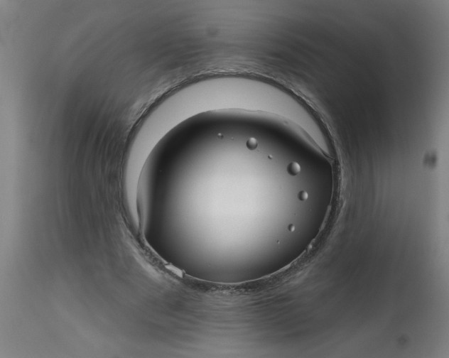 X0000112480489200909071201