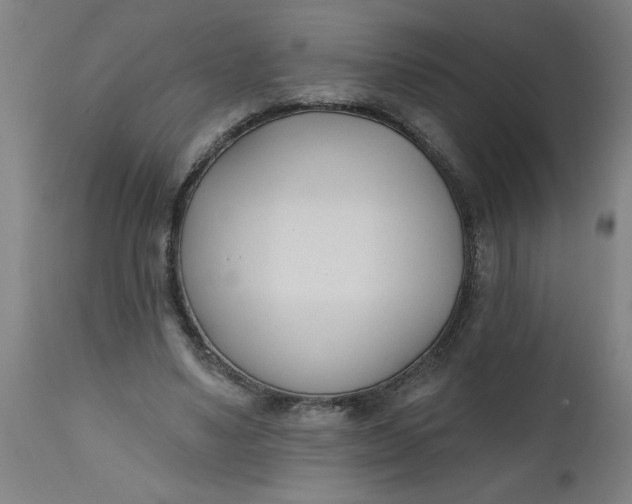 X0000112480491200909071201