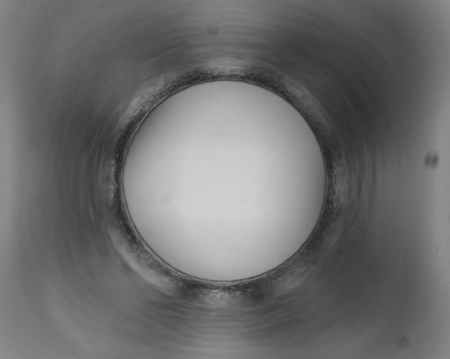 X0000112480494200909071201