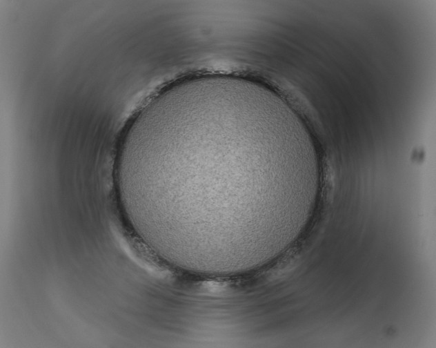 X0000112480496200909071201