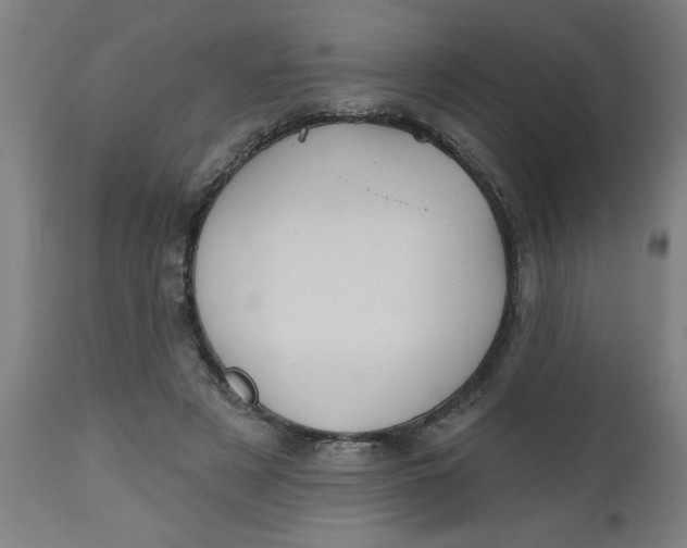 X0000112480497200909071201