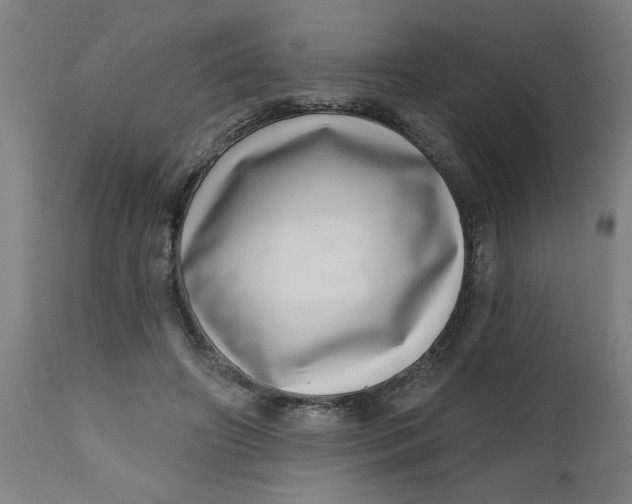 X0000112480498200909071201