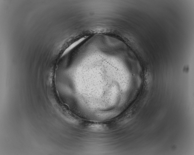 X0000112480499200909071201