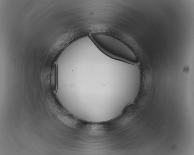 X0000112480501200909071201