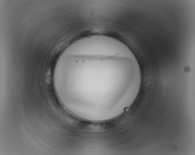 X0000112480502200909071201