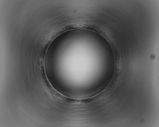 X0000112480503200909071201