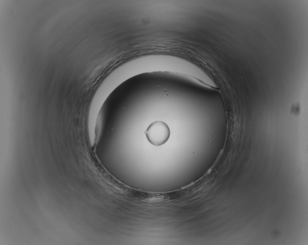 X0000112480505200909071201