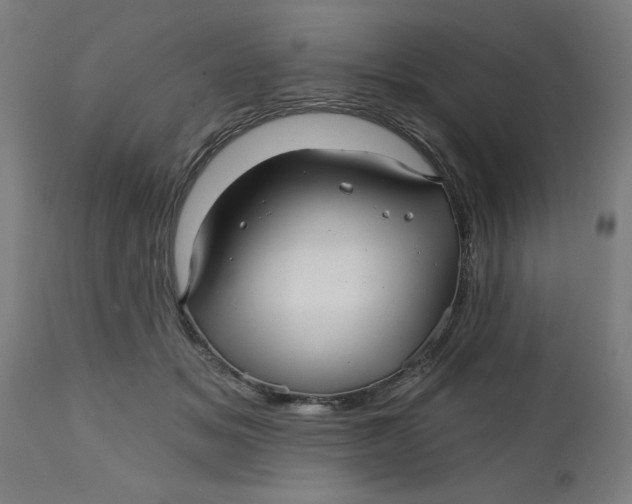 X0000112480509200909071201