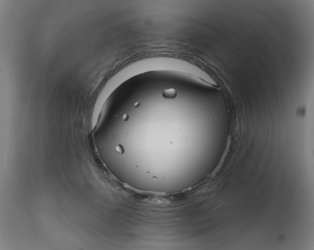 X0000112480512200909071201