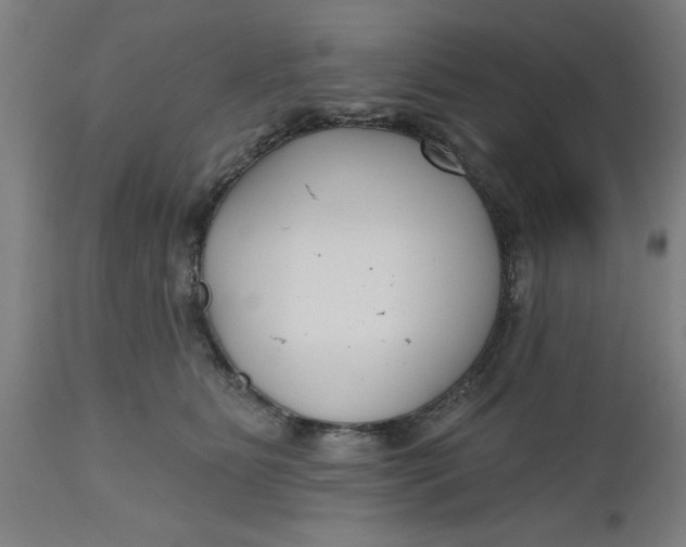 X0000112480515200909071201