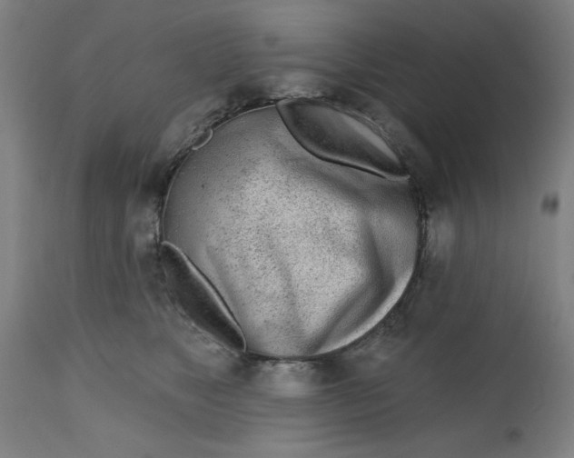 X0000112480517200909071201