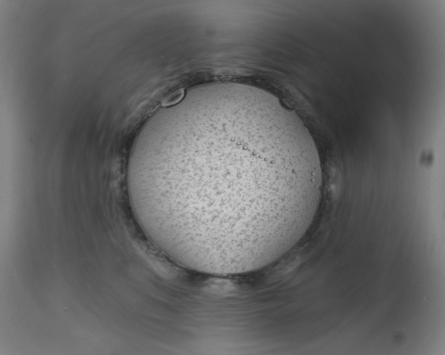 X0000112480519200909071201