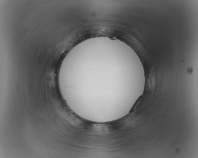 X0000112480520200909071201