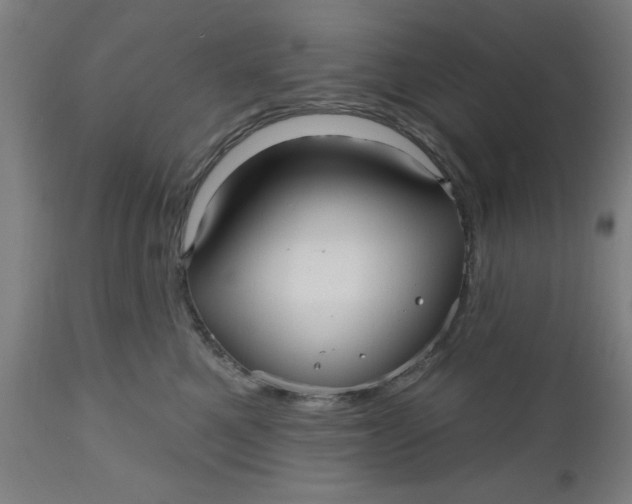 X0000112480521200909071201