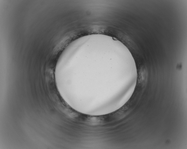 X0000112480522200909071201