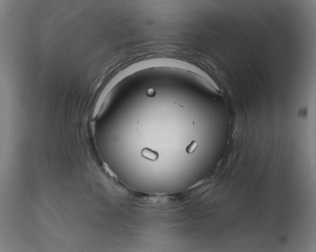 X0000112480524200909071201