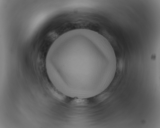 X0000112480526200909071201