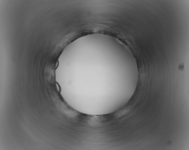 X0000112480527200909071200