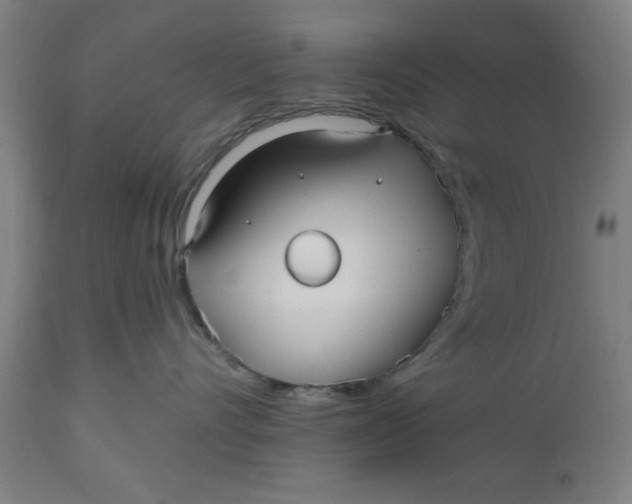 X0000112480528200909071200