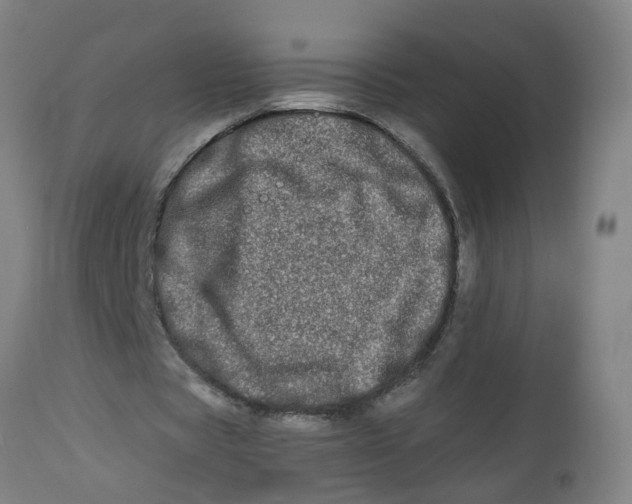 X0000112480529200909071200