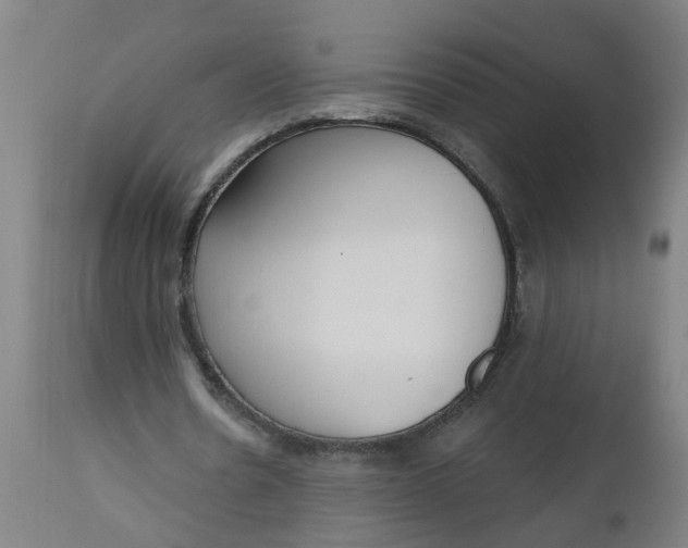 X0000112480530200909071200