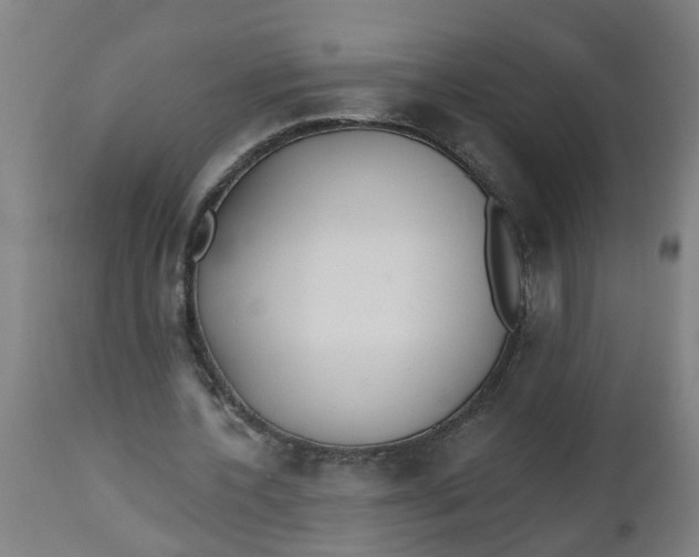 X0000112480532200909071200