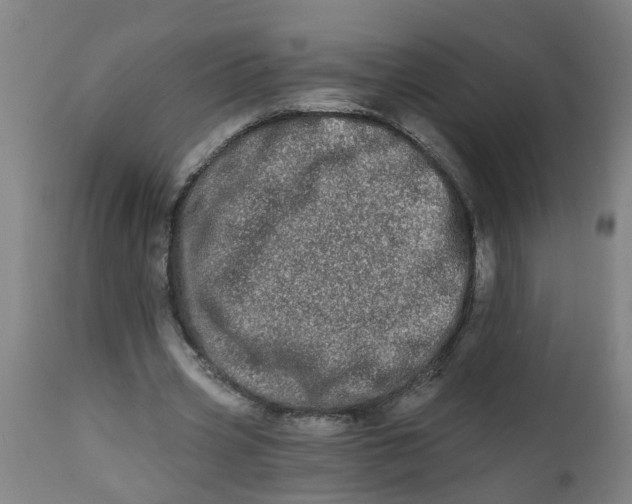 X0000112480533200909071200