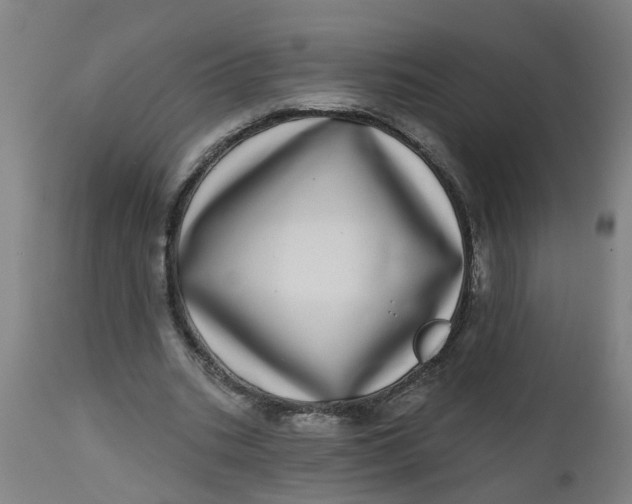 X0000112480535200909071200