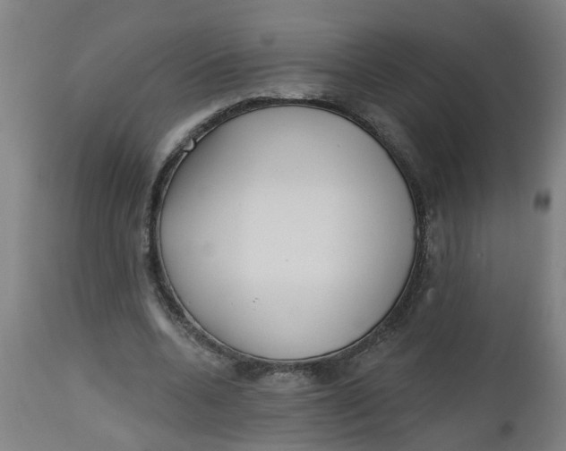 X0000112480536200909071200