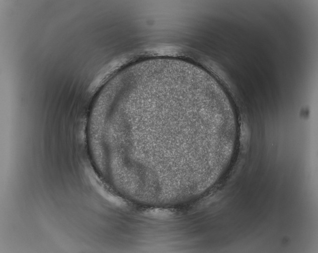 X0000112480537200909071200